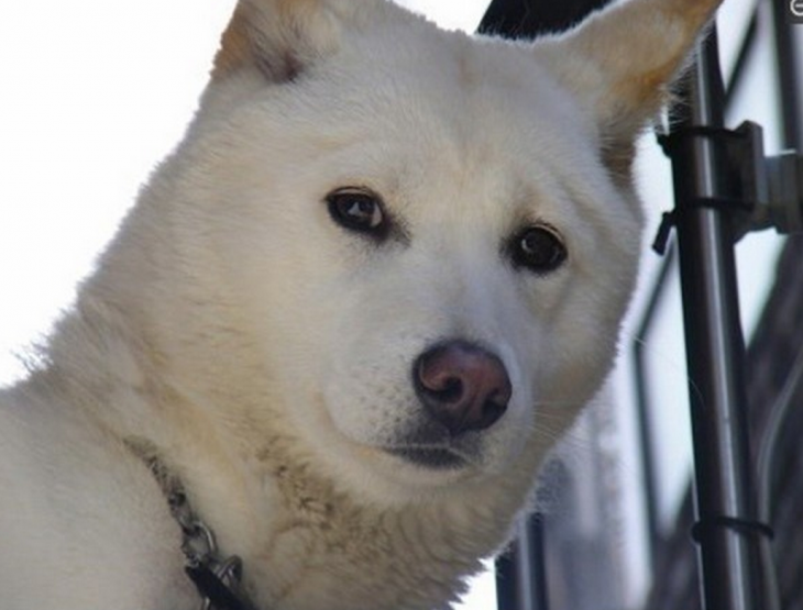 스크린샷 2013-11-07 오후 10.25.37.png