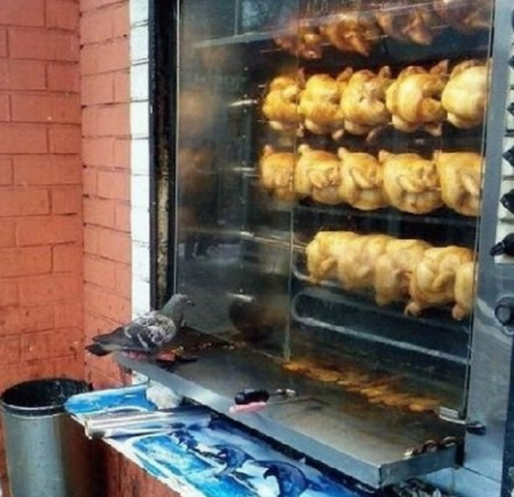 스크린샷 2013-11-04 오후 11.02.02.png