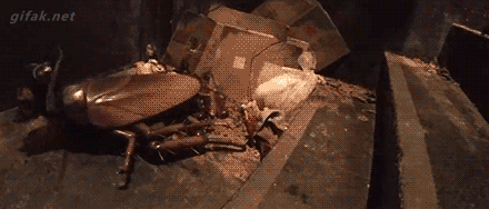 216303aa6455d792c3a98e3f08ff1a26_1501234078_7846.gif