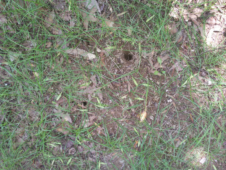 5bcdb46abd7b5769c873d0f1d34c33ca_1501120