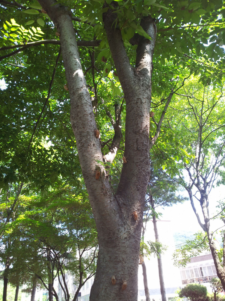 5bcdb46abd7b5769c873d0f1d34c33ca_1501120