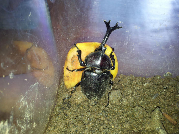 5bcdb46abd7b5769c873d0f1d34c33ca_1501120