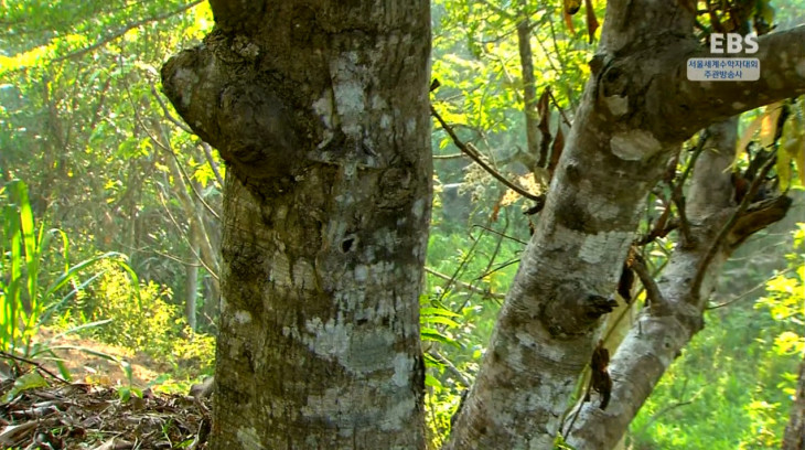 adf9fee9eb5ac611820fc18bf60e404c_1500873