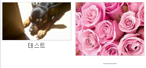 최신글 이미지 목록