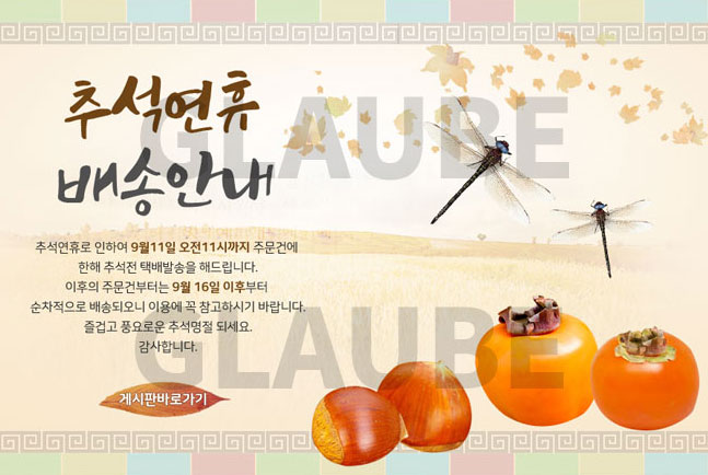 Thanksgiving_2019_03